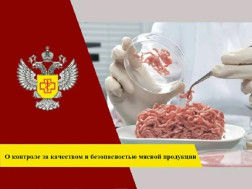 О результатах контроля качества и безопасности  мясной продукции за 1 квартал 2025 год Для граждан (потребителей).